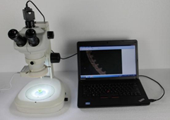 5MP Digital CCD Metallographic Image Analysis System H3000